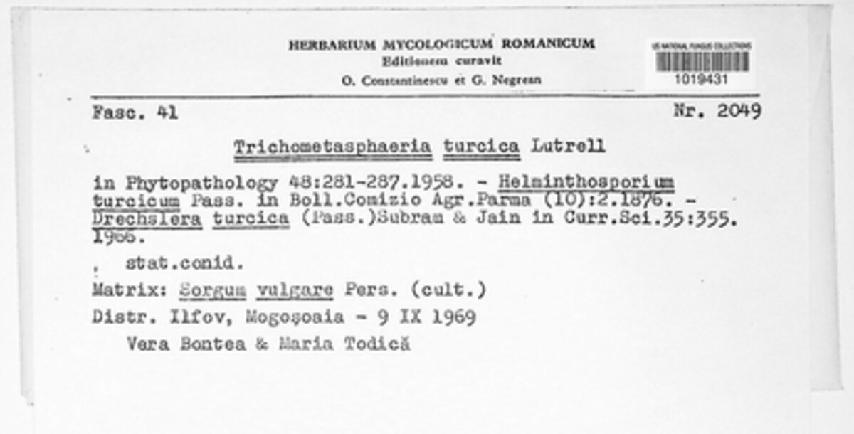 Trichometasphaeria image